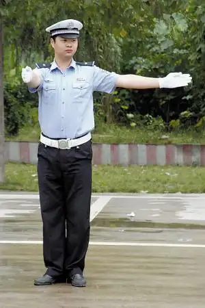 新手势将"上岗" 您出行需知晓