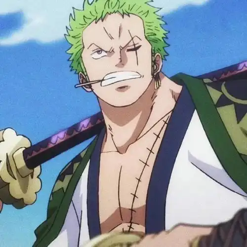 《海贼王》索隆头像#夏日次元盛典