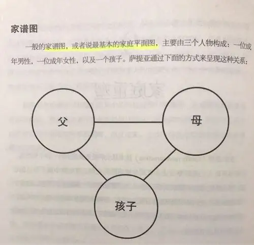 九九读书日三九第二天萨提亚家庭治疗模式19长大后我就成了你