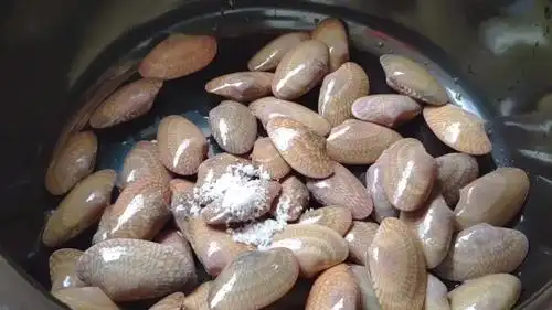 炒花甲螺时别直接焯水教你正确做法又香又嫩还没有沙