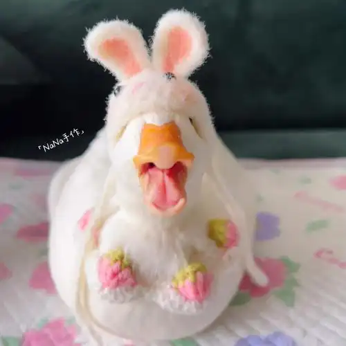 柯尔鸭帽子和围脖返图