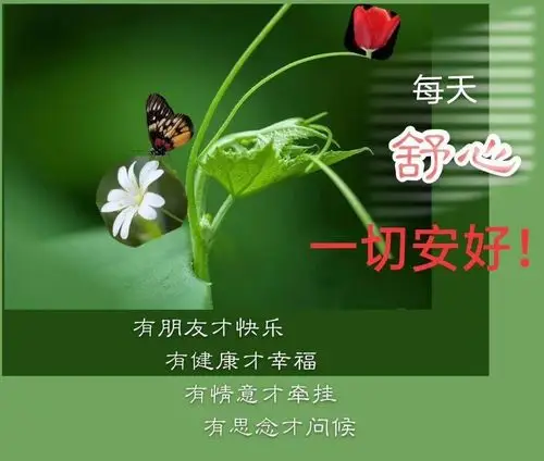 平安,健康,快乐每一天!