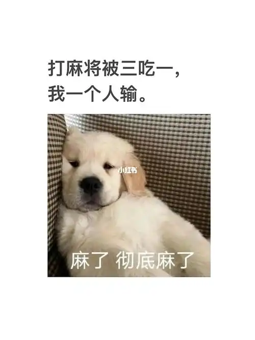 打麻将一个人输的感觉真的很不爽09