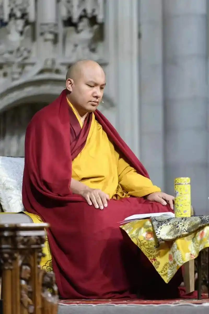 十七世噶玛巴·邬金钦列多杰尊者法相