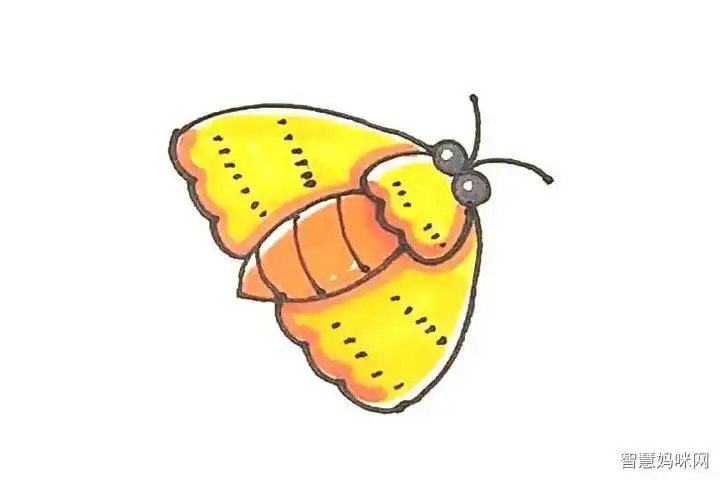 爱心飞蛾简笔画