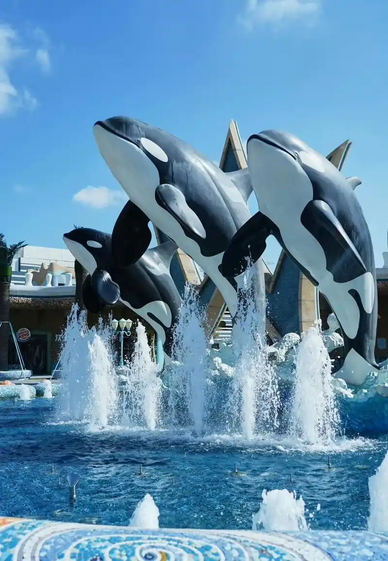 上海海昌海洋公园一日游攻略建议收藏