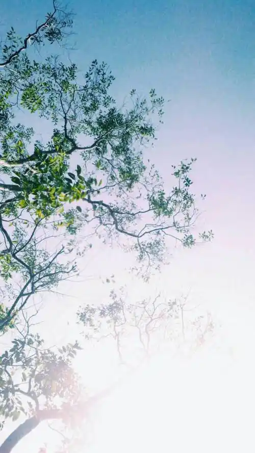 壁纸 唯美 动漫 漫画 背景图 文字 清.