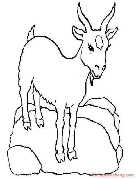 生肖简笔画之羊的画法怎样画羊的简笔画儿童画画羊十二生肖羊简笔画图