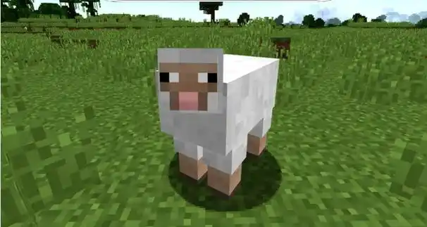 我的世界小鸭吃什么 我的世界小鸡吃什么长大