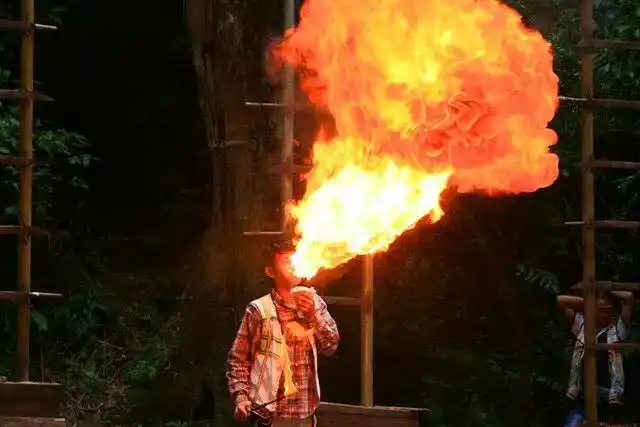 杂技喷火是将油喝到肚子是吗