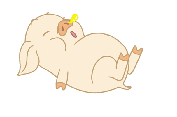 一枚北漂的自白:这是我的2018,价值6600元的年终奖竟然