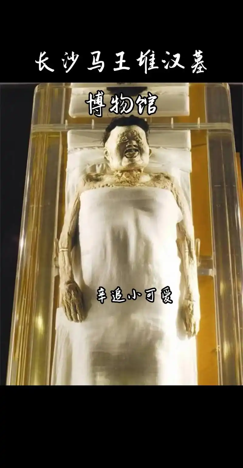 新安散人 #盗墓 #寻龙分金看缠山 #考古 #辛追夫人 @ - 抖音