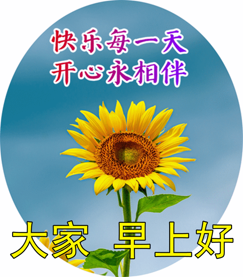 暖心阳光版早上好鲜花图片大全 微信特漂亮早上好问候表情图片分享