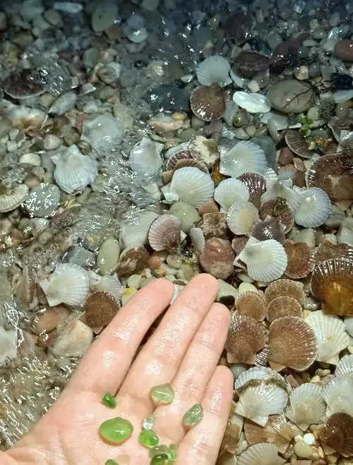 🏝️北隍城岛住宿费用揭秘