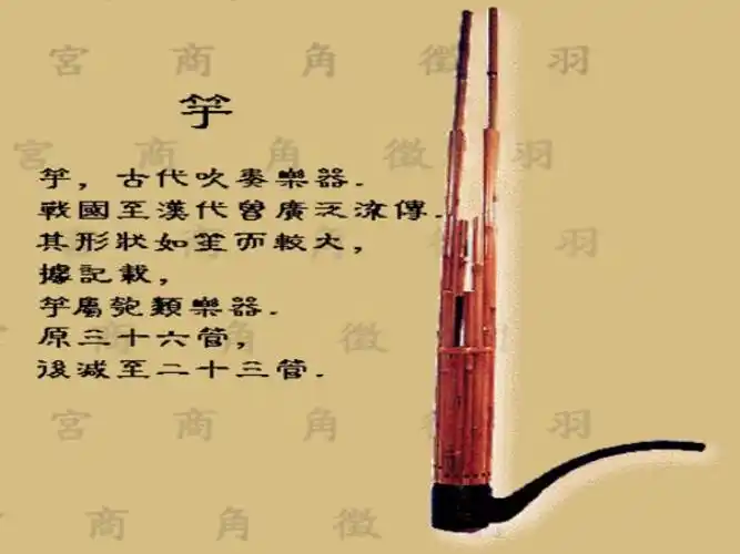 网竽    古簧管乐器,形似笙而较大,管数亦较多.