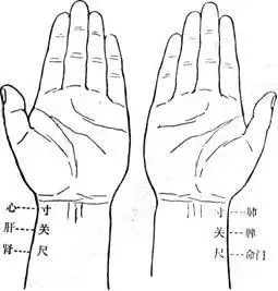 脉当然不是随便把手指往手腕上一搭,而是先以中指按在手腕突出位置的