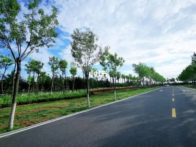 青岛小众公园打卡-白泥地公园_小众_白泥_白泥地公园_青岛北站_美食_