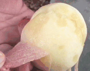 吃水蜜桃何必跑无锡 肉甜汁多的横泾水蜜桃也很灵!