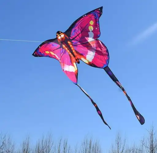 每年春天总能看到各式各样的风筝!