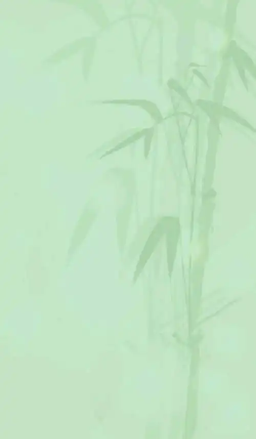 旧手机电子书的默认背景之一,墨竹