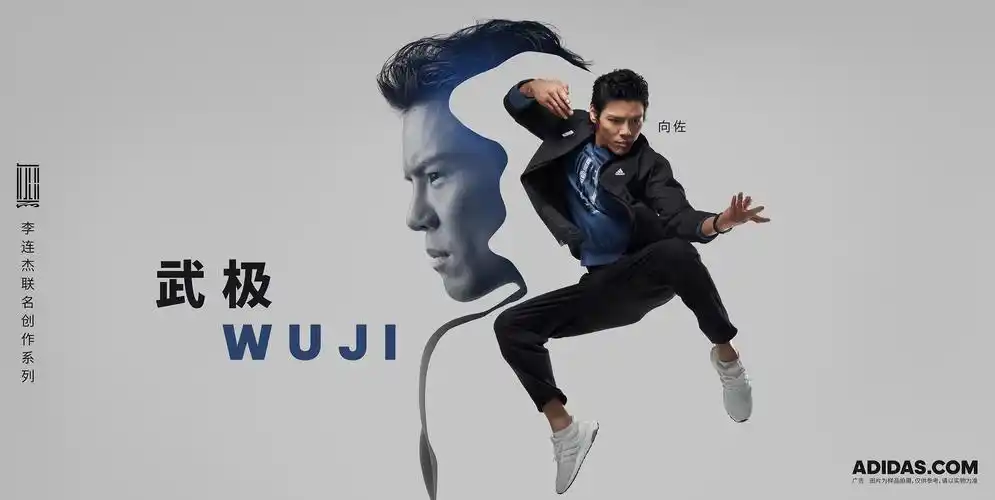 adidas 阿迪达斯·武极2018
