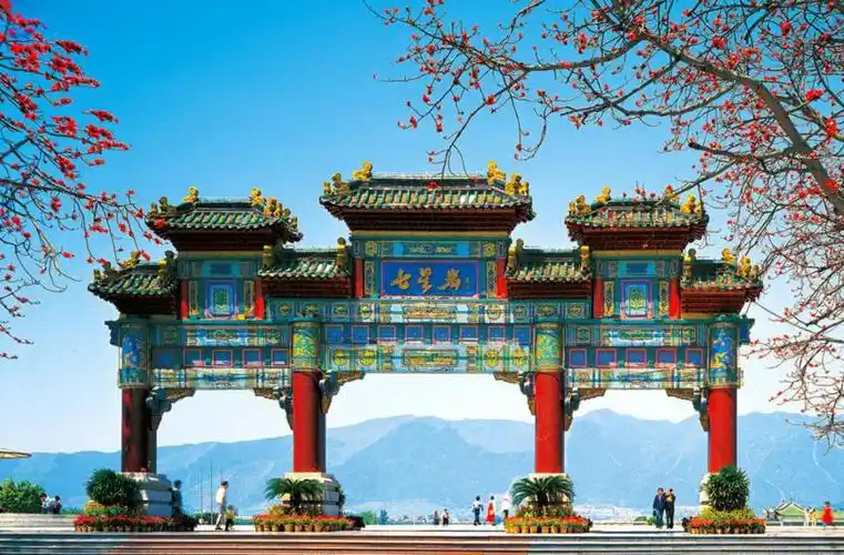 湾区税改启示录三税务蓝带来发展大礼包减税降费助力肇庆企业弄潮