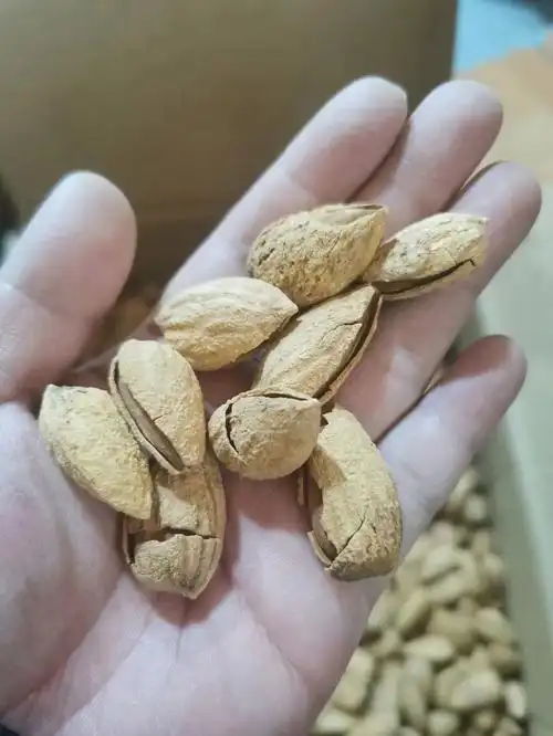 低温慢焙,大颗果仁,香脆爽口无以复加的口感让人流连忘返