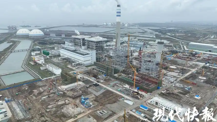 滨海港片区:紧锣密鼓抢开局促发展