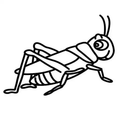 蚱蜢儿童画图片蚱蜢儿童绘画图集 昆虫简笔画