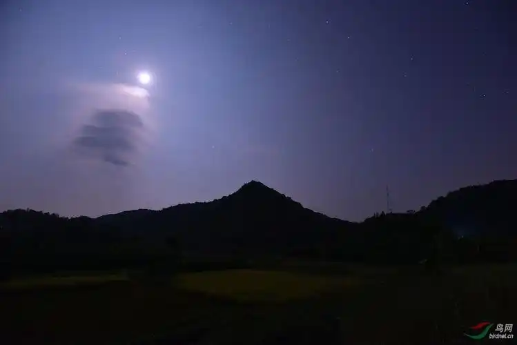 乡村夜景