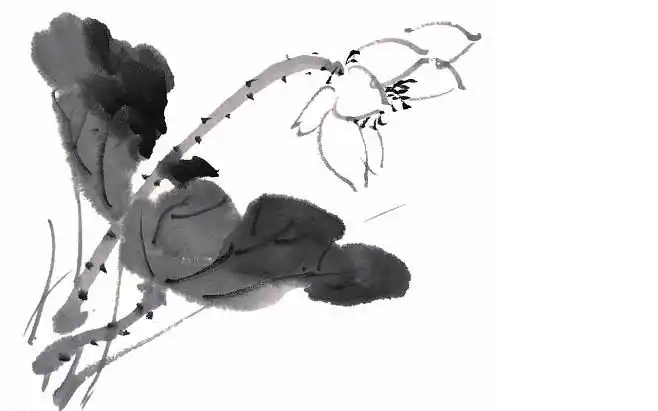 黑白水墨画荷花