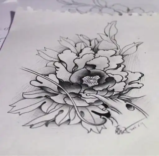 牡丹花手稿_纹身图案手稿图片_磊子的纹身作品集