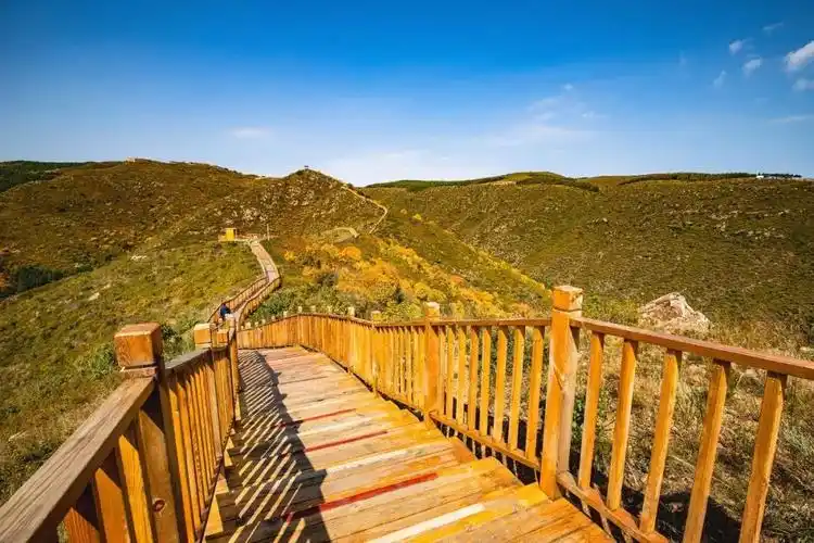 重阳敬老丨大青山国际旅游度假区请老人免费游景区