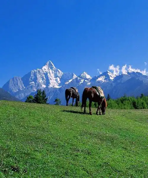 春和景明清明踏青童话阿坝