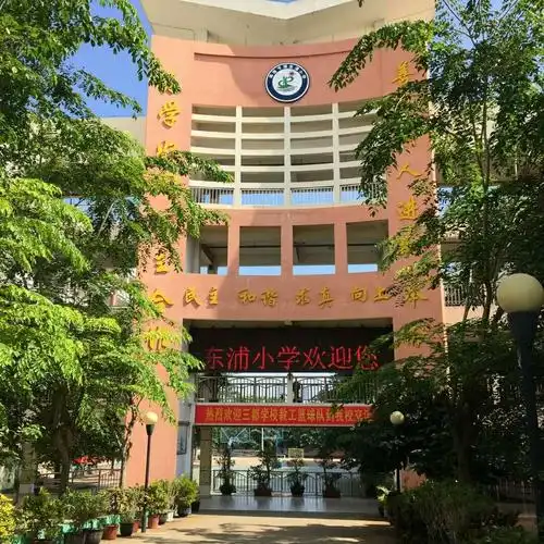 东浦小学实习第二周