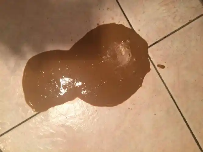 狗狗拉屎拉稀成这样子是什么情况,精神还不错,好几天都是这样子的,屎