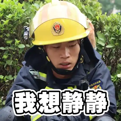 消防员真人表情包上线~斗图开始!_澎湃号·政务_澎湃新闻-the paper