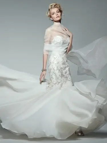 【浪漫婚纱素材篇】高贵的国外婚纱美女1440 1920(3)