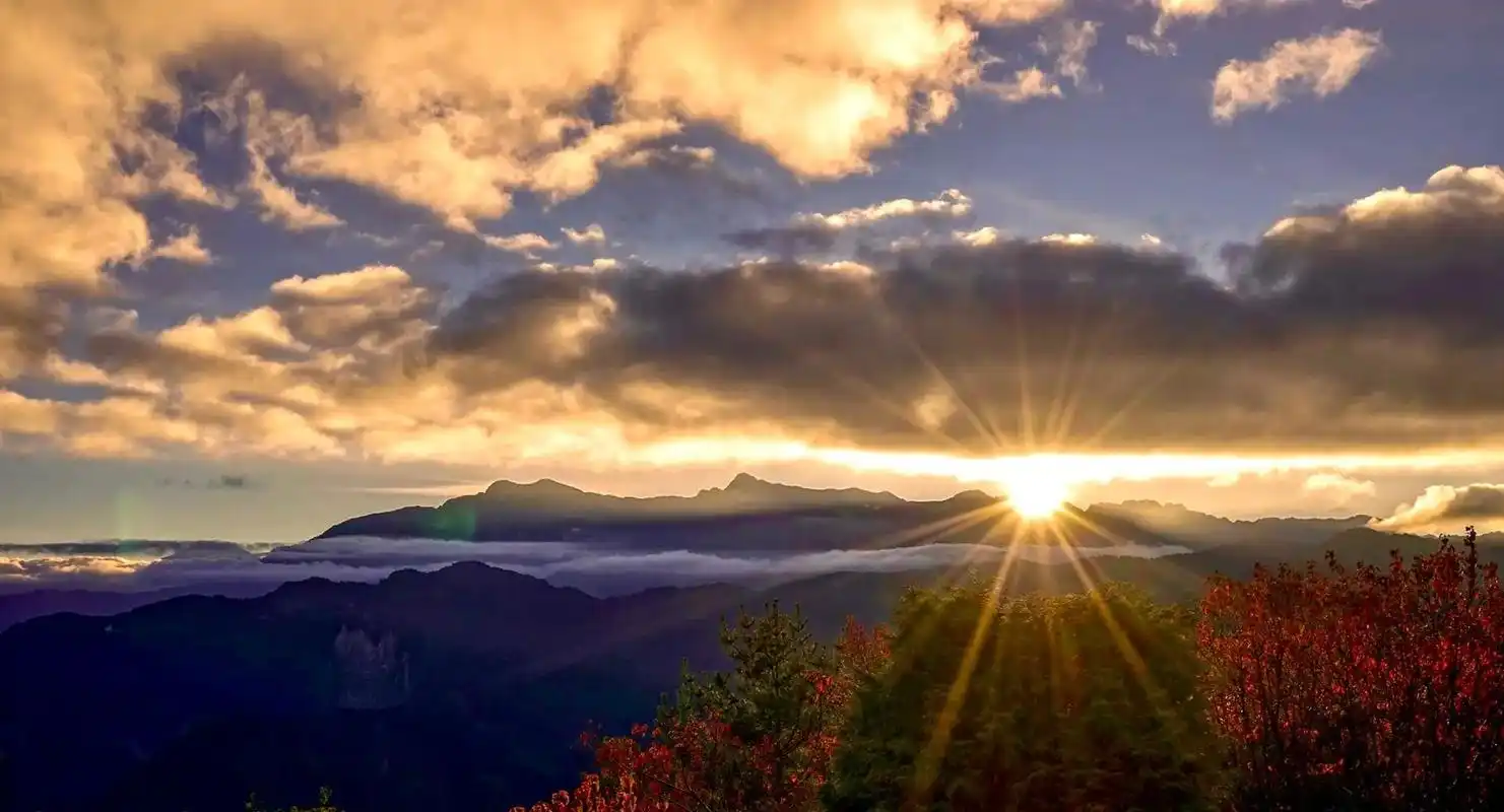 台湾嘉义县阿里山國家特有鳥類(帝雉)利用台湾清明5天假期,与 - 抖音