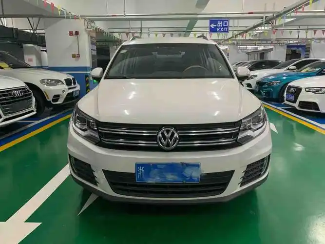 大众 途观  2016款 280tsi 自动两驱丝绸之路风尚版图片