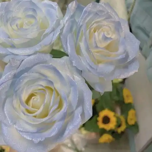 ins风玫瑰系聊天背景图