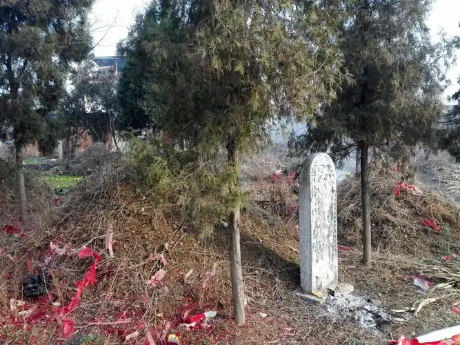 跪拜,坟地在庄东南角,南边就是小南河拐弯处,坟地约有二三十个坟头