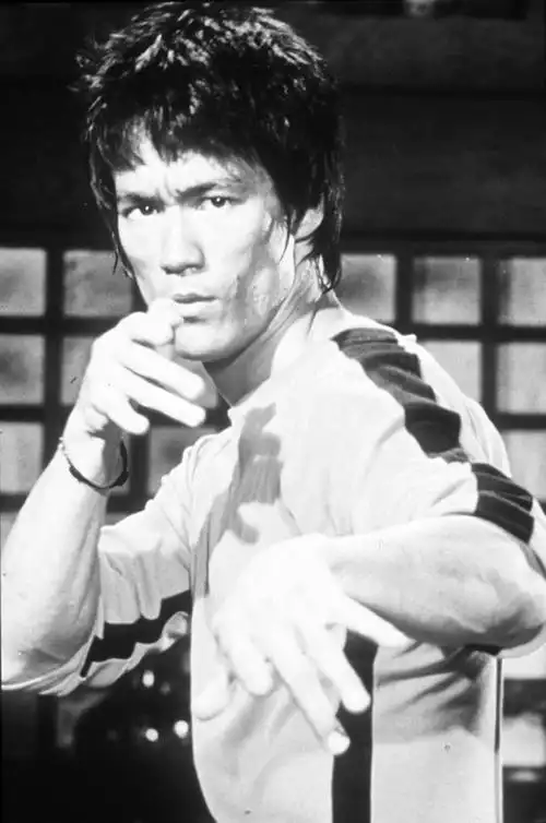 brucelee李小龙图集