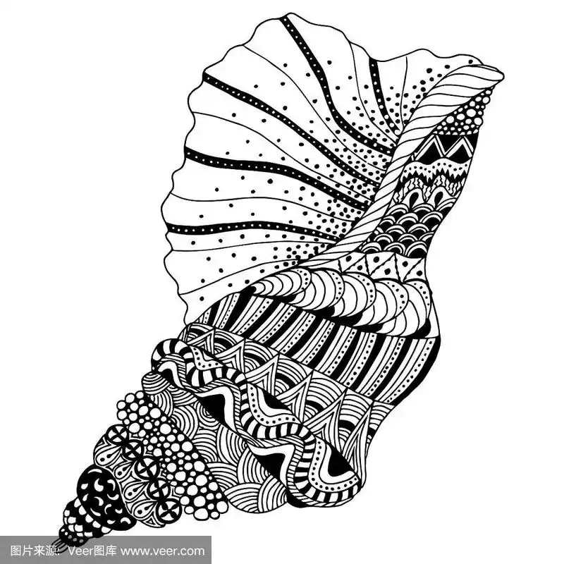 古董雕刻矢量插图贝壳黑白剪辑艺术孤立在白色背景