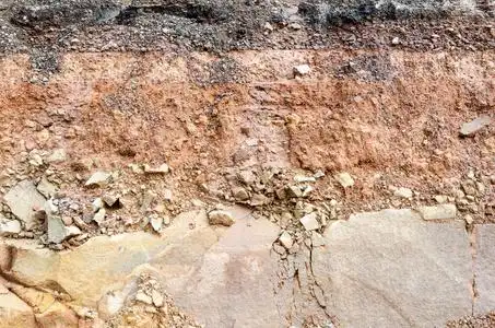 剖面下的土层照片