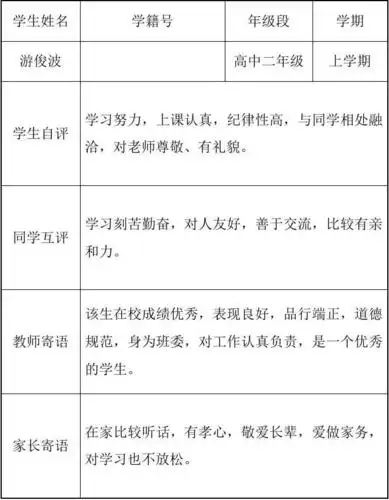 学生阶段性评价