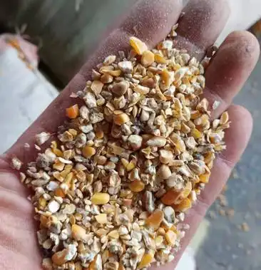 出售碎玉米下脚料牛羊猪饲料鸡鸭