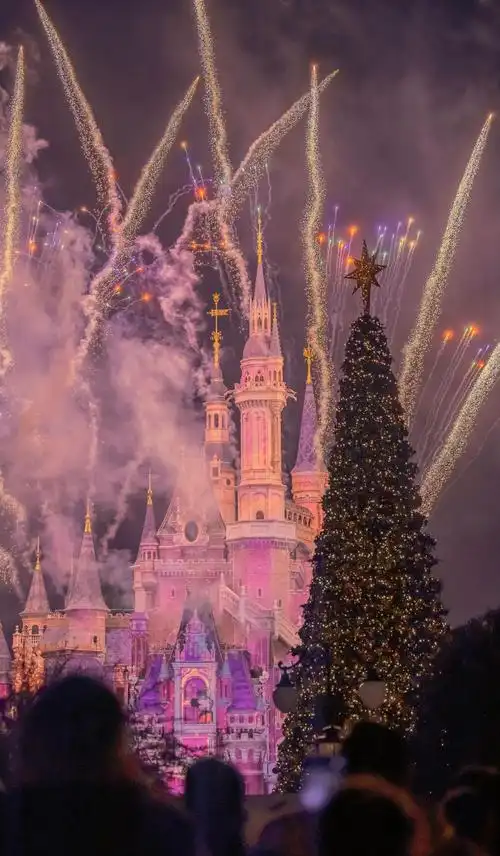 迪士尼的圣诞节,图片大全,高清,图库-回车桌面
