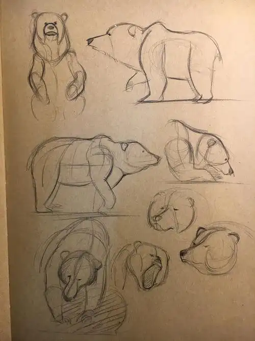 动物造型明暗手绘