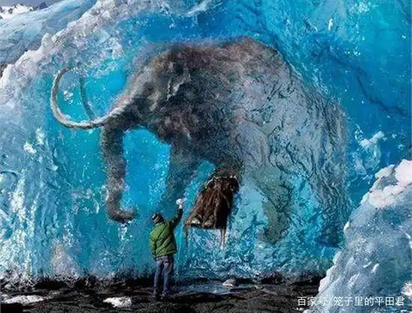 冰冻了2.8万年的猛犸象能够"重生"吗?